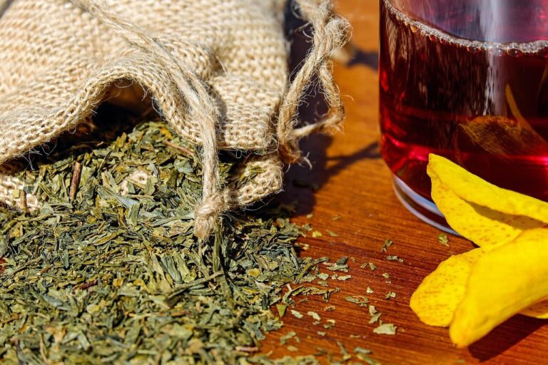 quel-infusion-roobios-choisir